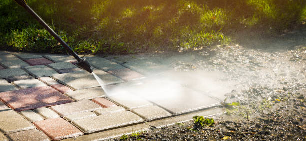 Best Soft Washing  in Lmer Heights, PA